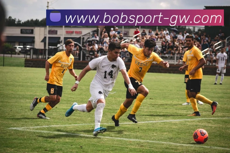 App Interface Preview