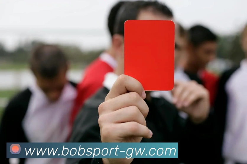 BOB体育APP 封面图